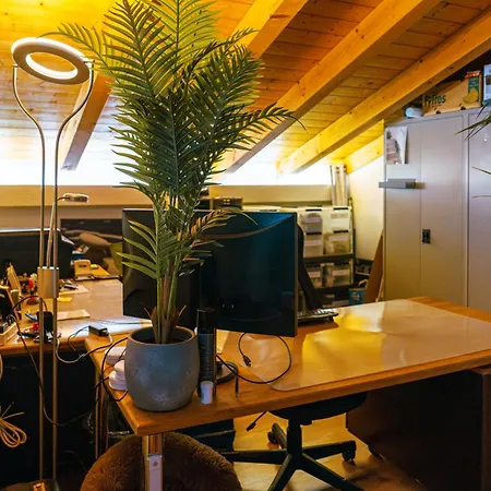 Villa Magnifique De 120m2 Au Coeur Du Valais Avec Piscine En Ete